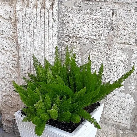 Bed & Breakfast Le Bifore Molfetta